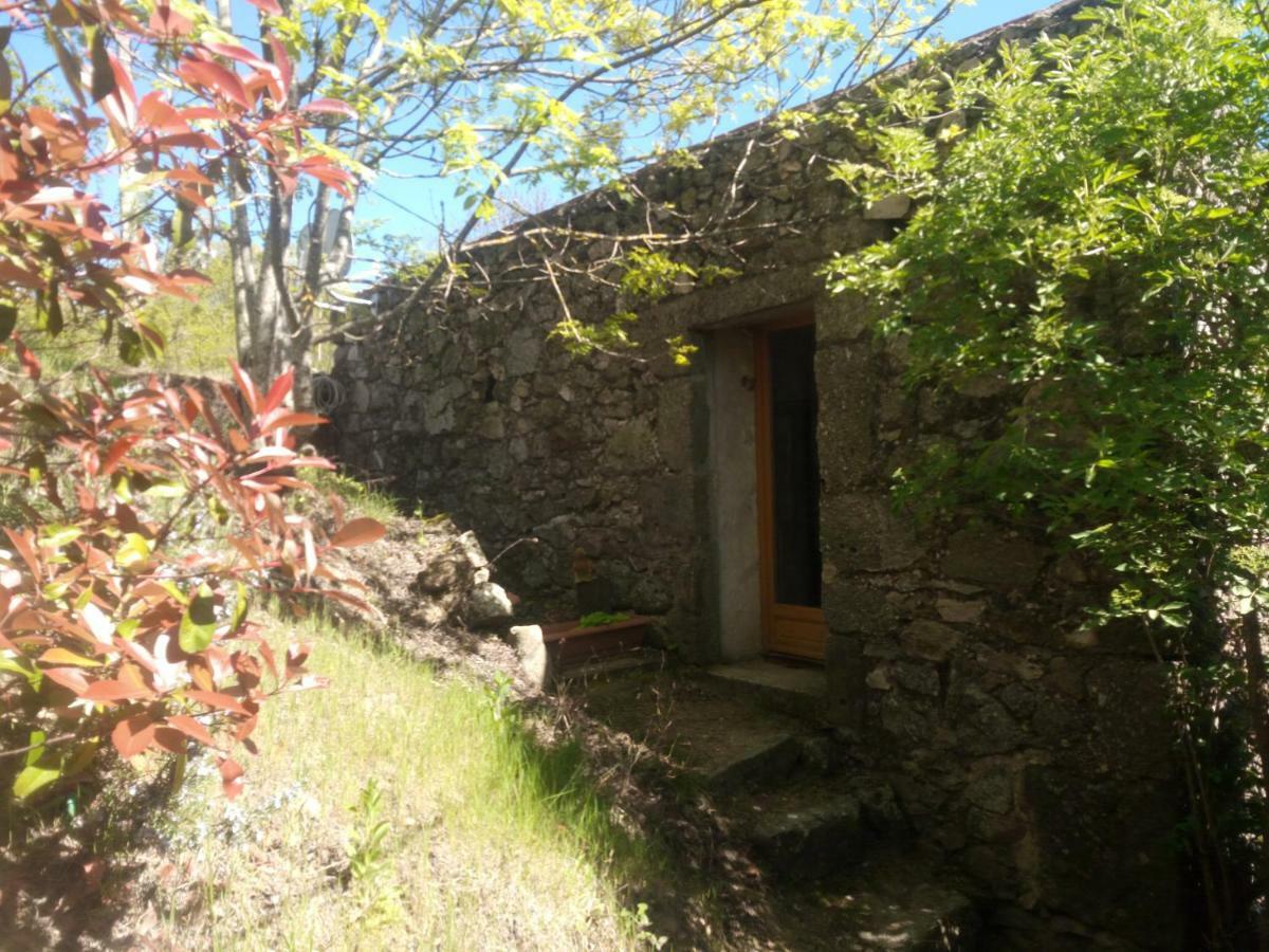 Les Gites Du Mazel Champis ภายนอก รูปภาพ